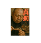 ヤクザ・猫組（個別スタンプ：9）