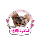 スフィンクス君（個別スタンプ：3）