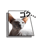 スフィンクス君（個別スタンプ：5）
