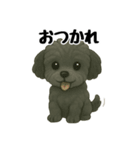 3匹の仲良しワンちゃん通常使い編（個別スタンプ：6）