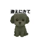3匹の仲良しワンちゃん通常使い編（個別スタンプ：9）