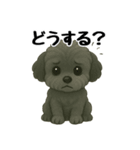 3匹の仲良しワンちゃん通常使い編（個別スタンプ：11）