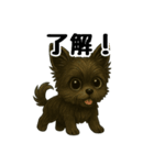 3匹の仲良しワンちゃん通常使い編（個別スタンプ：17）