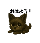3匹の仲良しワンちゃん通常使い編（個別スタンプ：20）