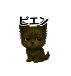 3匹の仲良しワンちゃん通常使い編（個別スタンプ：21）