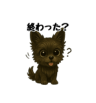 3匹の仲良しワンちゃん通常使い編（個別スタンプ：23）