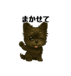 3匹の仲良しワンちゃん通常使い編（個別スタンプ：27）