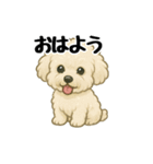 3匹の仲良しワンちゃん通常使い編（個別スタンプ：29）