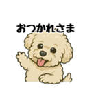 3匹の仲良しワンちゃん通常使い編（個別スタンプ：32）