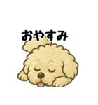3匹の仲良しワンちゃん通常使い編（個別スタンプ：33）