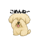 3匹の仲良しワンちゃん通常使い編（個別スタンプ：37）