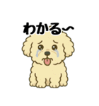 3匹の仲良しワンちゃん通常使い編（個別スタンプ：38）