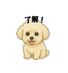 3匹の仲良しワンちゃん通常使い編（個別スタンプ：40）
