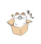 まいにち3にゃんたち（個別スタンプ：1）