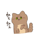 まいにち3にゃんたち（個別スタンプ：5）