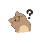 まいにち3にゃんたち（個別スタンプ：11）
