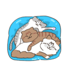 まいにち3にゃんたち（個別スタンプ：12）