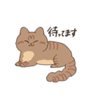 まいにち3にゃんたち（個別スタンプ：16）