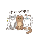 まいにち3にゃんたち（個別スタンプ：17）