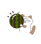 まいにち3にゃんたち（個別スタンプ：18）