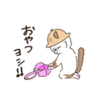 まいにち3にゃんたち（個別スタンプ：21）