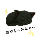 黒猫ビビアン（個別スタンプ：1）