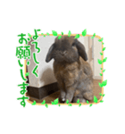 津丸家のアイドル（個別スタンプ：4）