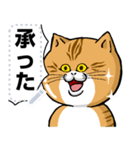 どうぶつが大好き01ネコ_pop_message（個別スタンプ：1）