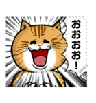 どうぶつが大好き01ネコ_pop_message（個別スタンプ：2）