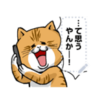 どうぶつが大好き01ネコ_pop_message（個別スタンプ：5）