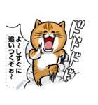 どうぶつが大好き01ネコ_pop_message（個別スタンプ：6）