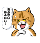 どうぶつが大好き01ネコ_pop_message（個別スタンプ：11）