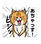どうぶつが大好き01ネコ_pop_message（個別スタンプ：12）