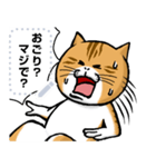 どうぶつが大好き01ネコ_pop_message（個別スタンプ：15）