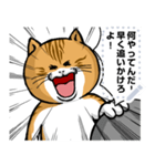 どうぶつが大好き01ネコ_pop_message（個別スタンプ：16）