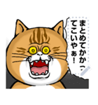 どうぶつが大好き01ネコ_pop_message（個別スタンプ：18）