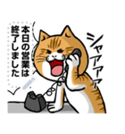 どうぶつが大好き01ネコ_pop_message（個別スタンプ：19）