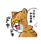 どうぶつが大好き01ネコ_pop_message（個別スタンプ：21）