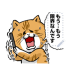 どうぶつが大好き01ネコ_pop_message（個別スタンプ：22）