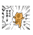 どうぶつが大好き01ネコ_pop_message（個別スタンプ：23）