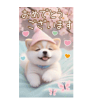 かわいい豆柴たち 使えるカラフルBIG 敬語（個別スタンプ：14）