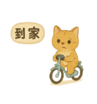 ニャンコトーク（個別スタンプ：17）