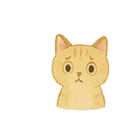 ニャンコトーク（個別スタンプ：19）