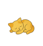 ニャンコトーク（個別スタンプ：27）