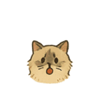 ニャンコトーク（個別スタンプ：28）