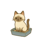 ニャンコトーク（個別スタンプ：30）