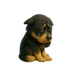 犬（3D）-様々な体の動き 004（個別スタンプ：36）
