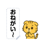 かわいい子トラ・文字フリー（個別スタンプ：13）