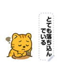 かわいい子トラ・文字フリー（個別スタンプ：20）