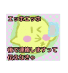 【エッホエッホ編1】オカメインコちゃん（個別スタンプ：8）